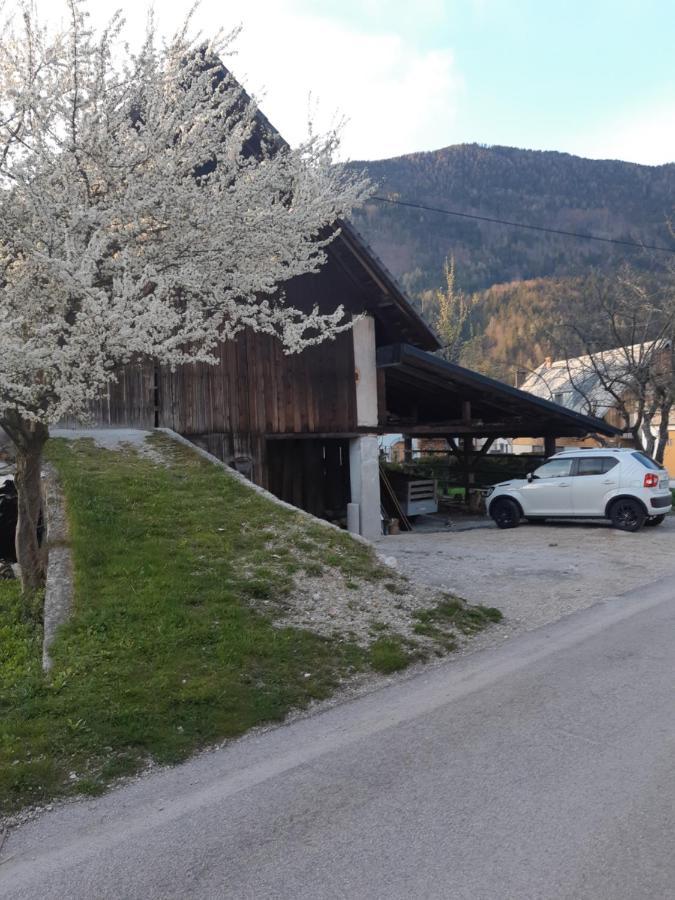 Alpska Roza Apartment Кранска гора Екстериор снимка