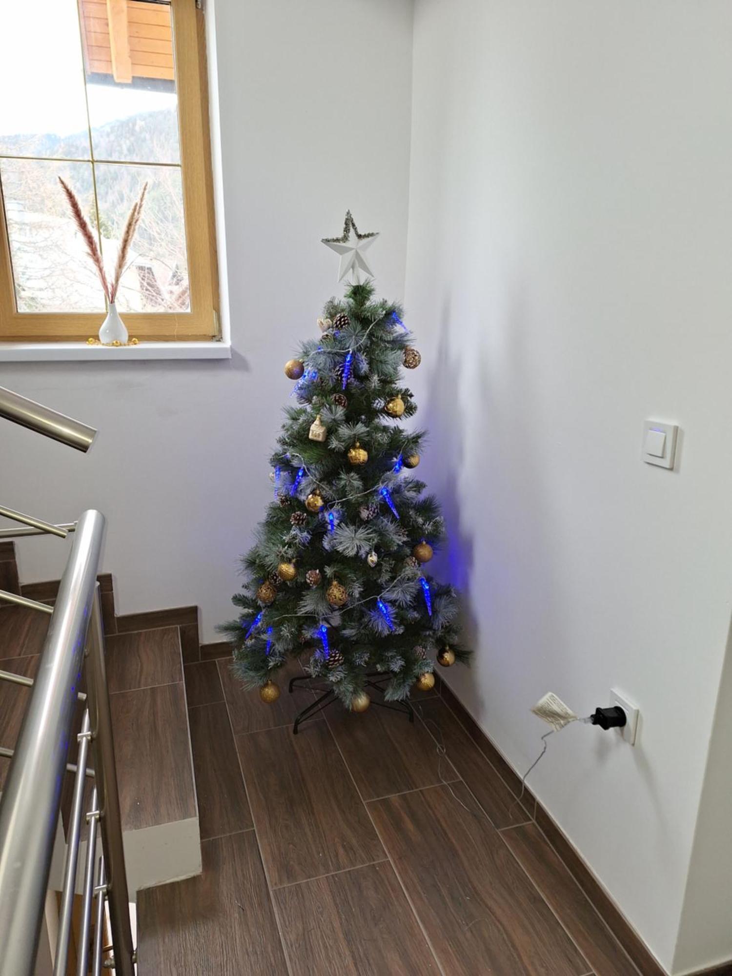 Alpska Roza Apartment Кранска гора Екстериор снимка